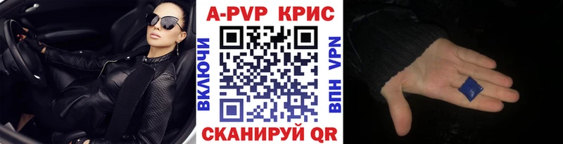 Альфа ПВП СК КРИС  Малгобек 