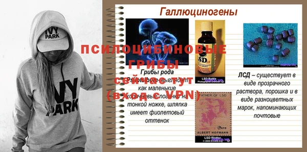 ешки Лабытнанги